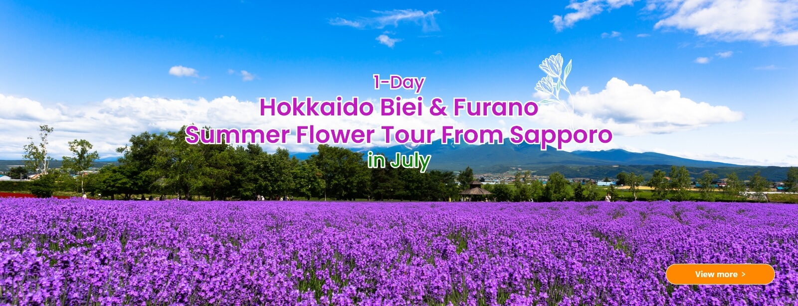 1-Day Hokkaido Biei & Furano Spring Flower Tour From Sapporo in June
